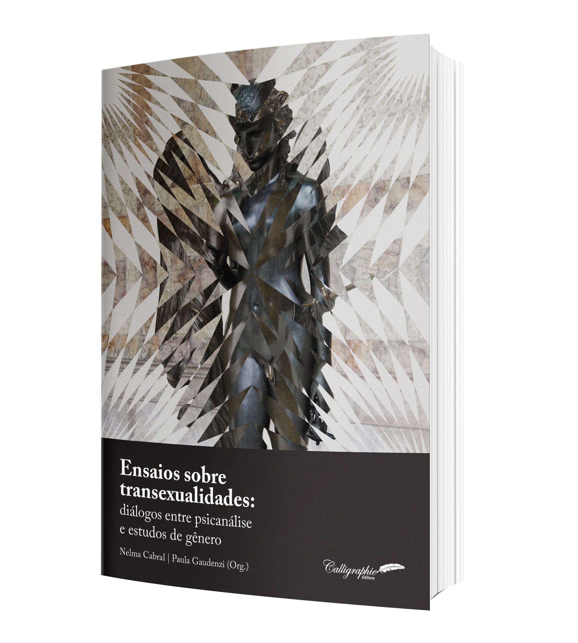 Leia mais sobre o artigo CABRAL, Nelma; GAUDENZI, Paula (eds). 2020. Ensaios sobre transexualidades: diálogos entre psicanálise e estudos de gênero. Curitiba: Calligraphie. 136p